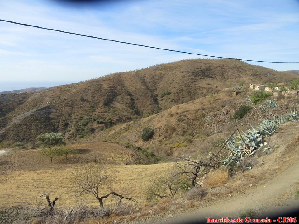 Cortijo i Albondon, Granada - bilde 5